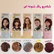 شامپو رنگ مو شانه دار دکسی 200 میل رنگ‌دهی سریع، بدون آمونیاک Dexe hair color comb