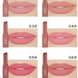 رژ لب جامد دراگون رانی ده عددی dragon ranee lipstick
