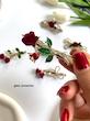 گیره انبری بغل مو