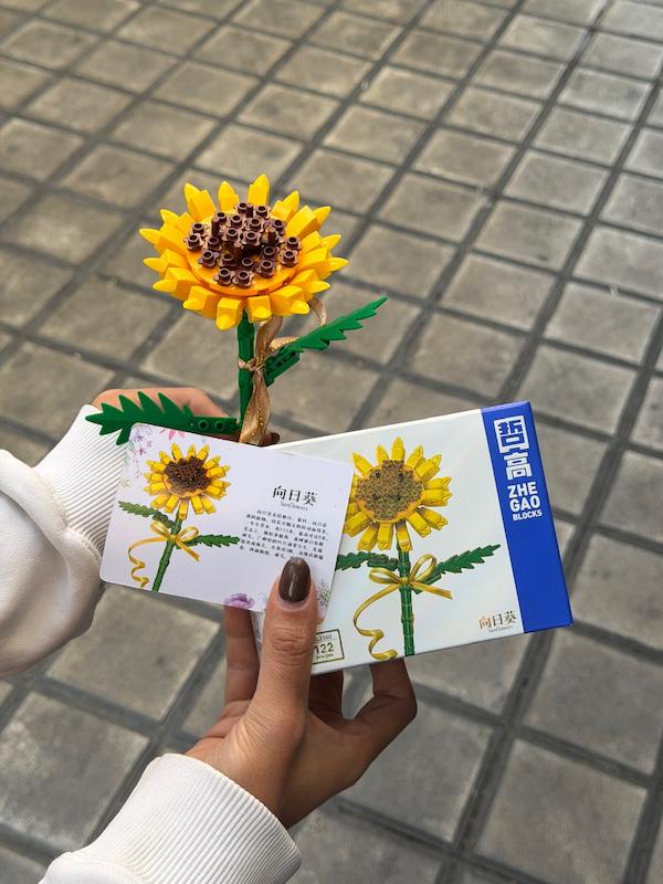 گل لگویی🌻✨