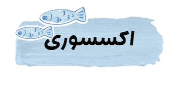 اکسسوری