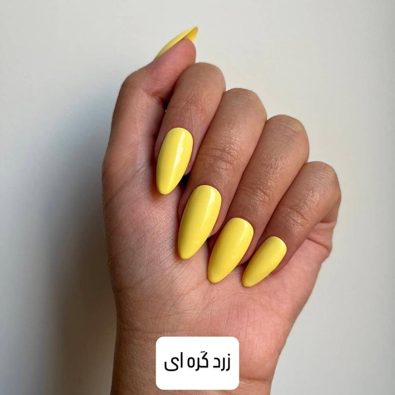 ناخن مصنوعی گلوری نیل مدل-تکرنگ پاستلی