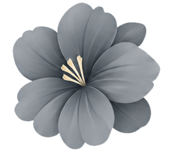 طوسی