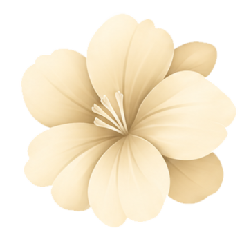 کرم