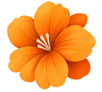 نارنجی