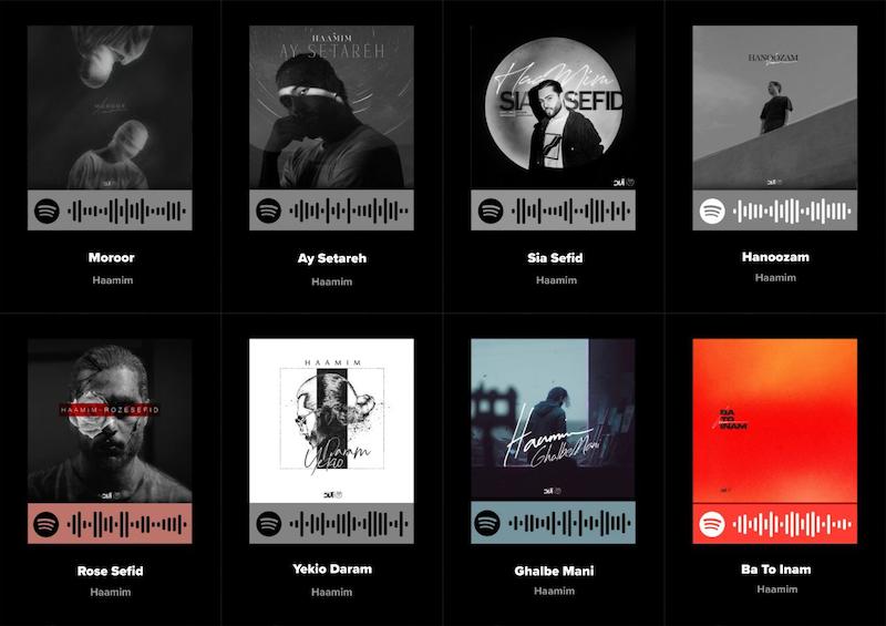 پک اسپاتیفای کارت 8تایی حامیم _ Haamim