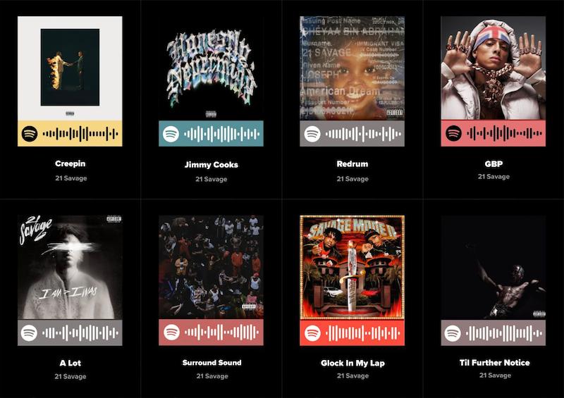 پک اسپاتیفای کارت 8تایی Savage 21