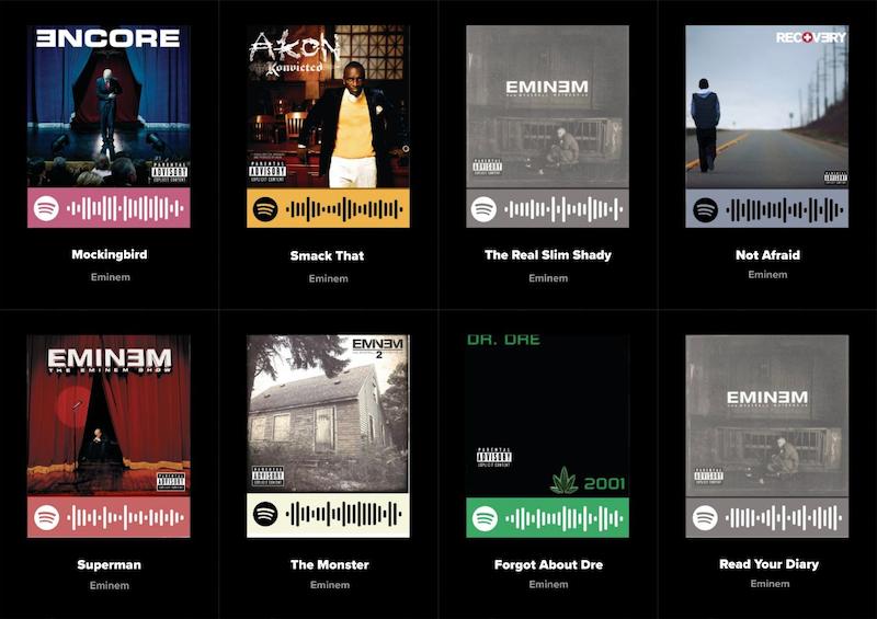 پک اسپاتیفای کارت 8 تایی 2 Eminem