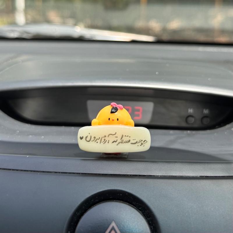 روداشبوردی جوجه