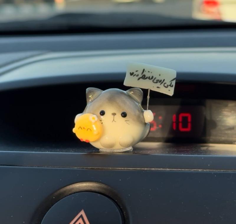 روداشبوردی گربه و جوجه بغلی