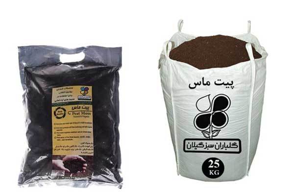 پیت ماس 