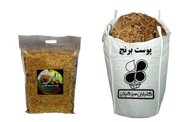 پوست برنج گلباران سبز