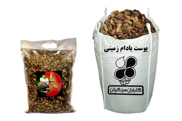 پوست بادام زمینی گلباران سبز