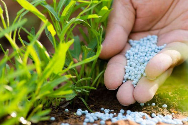مزایای استفاده از کودهای کامل