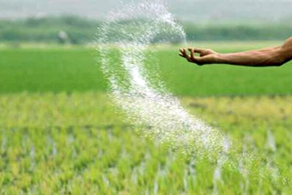 معایب کود شیمیایی