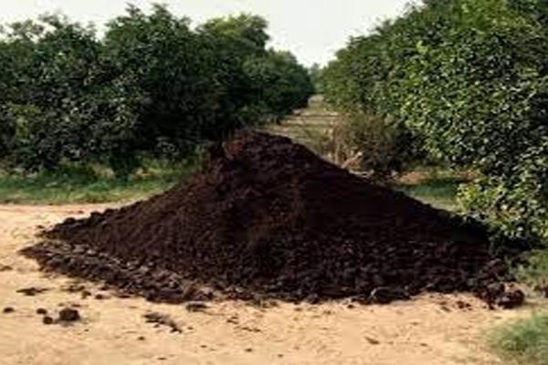 خصوصیات کود دامی پوسیده