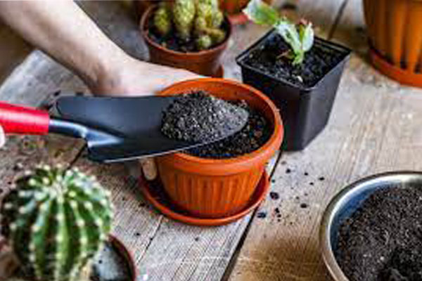 ویژگی‌های خاک گلدان مناسب