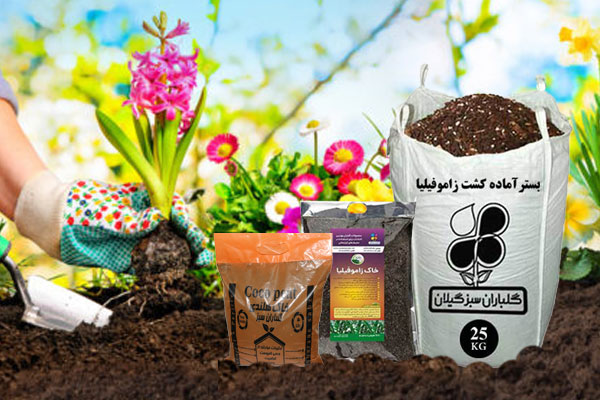 بهترین خاک گلدان