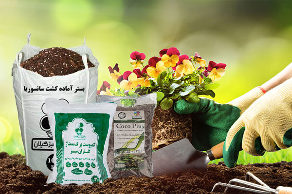خاک گل گیاهان آپارتمانی