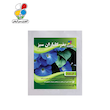 بذر گل نیلوفر بزرگ مدل GPSF7L