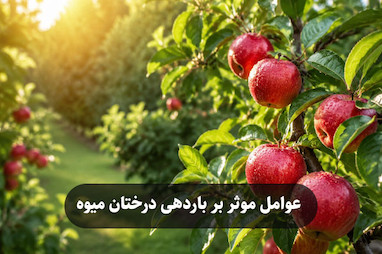 عوامل موثر بر باردهی درختان میوه