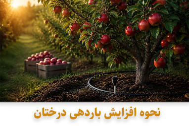 نحوه افزایش باردهی درختان