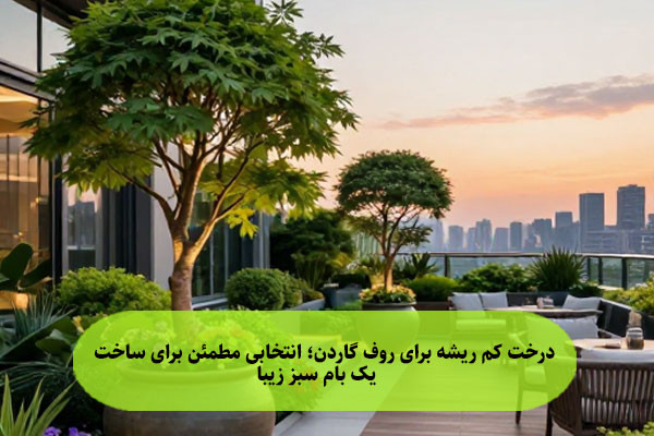 درخت کم ریشه برای روف گاردن؛ انتخابی مطمئن برای ساخت یک بام سبز زیبا
