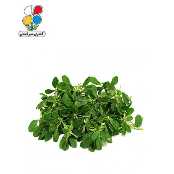 بذر شنبلیله بسته بندی کوچک مدل GPSV7S 