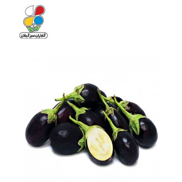 بذر بادمجان دلمه ای بسته بندی بزرگ مدل GPSS7L
