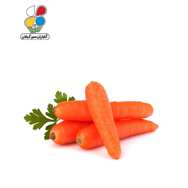 بذر هویج بسته بندی بزرگ مدل GPSS7L