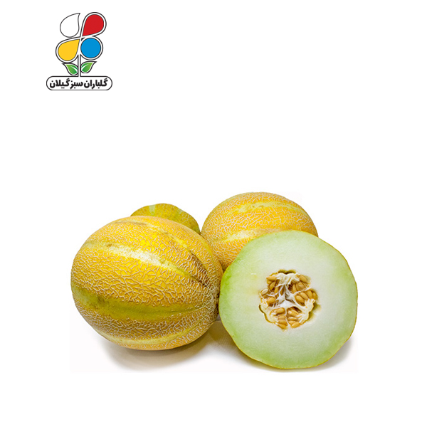 بذر خربزه بسته بندی بزرگ مدل GPSS7L