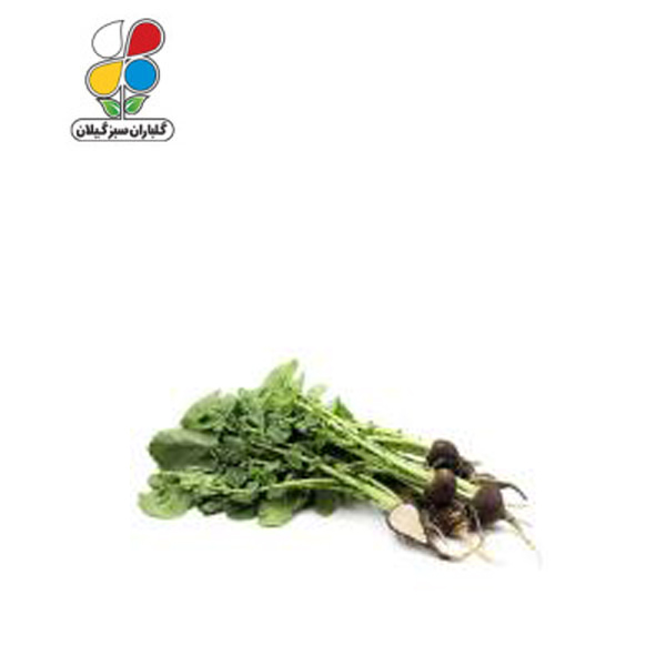 بذر ترب سیاه بسته بندی بزرگ مدل GPSV7L