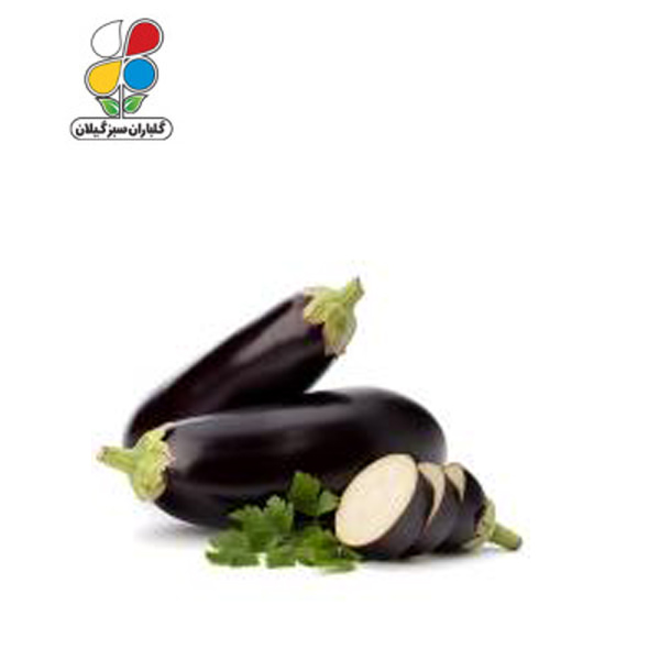 بذر بادمجان قلمی  بسته بندی بزرگ مدل GPSS7L