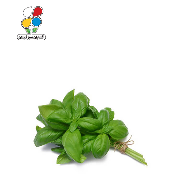 بذر ریحان سبز بسته بندی بزرگ مدل GPSV7L