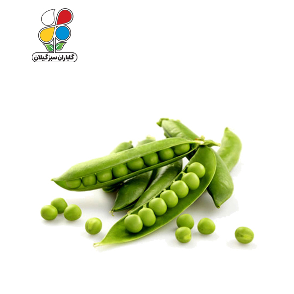 بذر نخود فرنگی بسته بندی بزرگ مدل GPSS7L