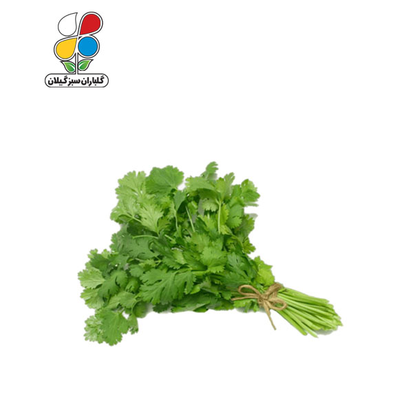 بذر گشنیز بسته بندی کوچک مدل GPSV7S