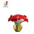 بذر گل شقایق نعمانی بسته بندی بزرگ مدل GPSF7L