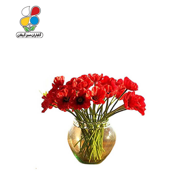 بذر گل شقایق نعمانی بسته بندی بزرگ مدل GPSF7L