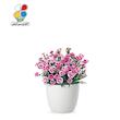 بذر گل میخک بسته بندی بزرگ مدل GPSF7L