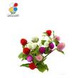 بذر گل ( تکمه ای ) دکمه ای بسته بندی بزرگ مدل GPSF7L 