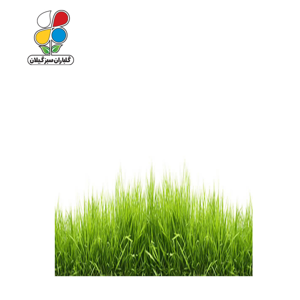 بذر چمن بسته بندی بزرگ مدل GPSF7L