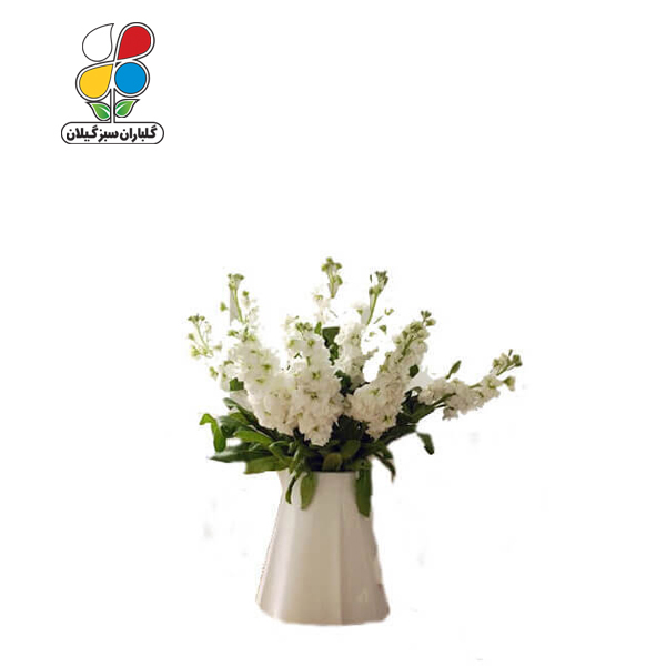 بذر گل شب بو بسته بندی کوچک مدل GPSF7S 