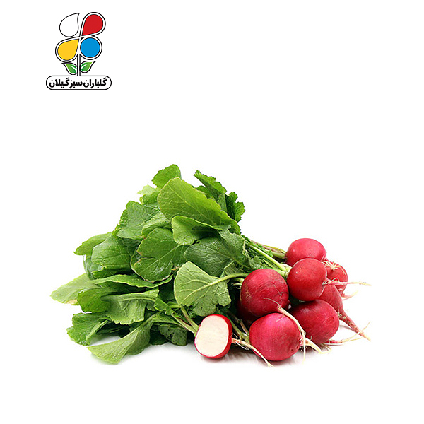 بذر تربچه بسته 3 عددی مدل GPSV7L