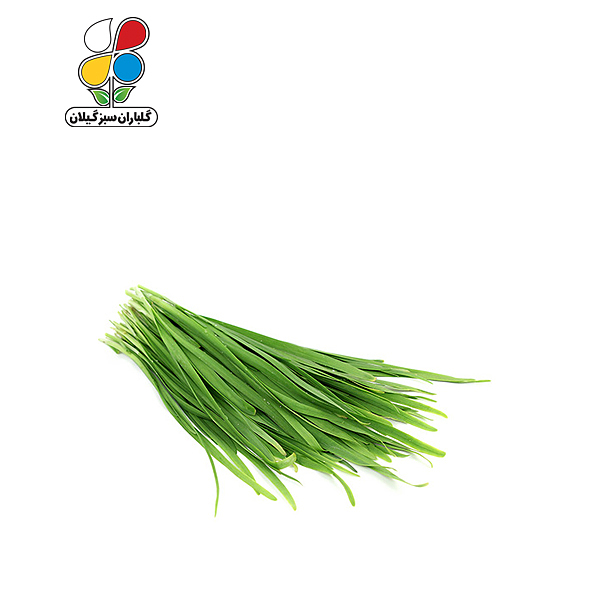 بذر تره بومی بسته 3 عددی مدل GPSV7L