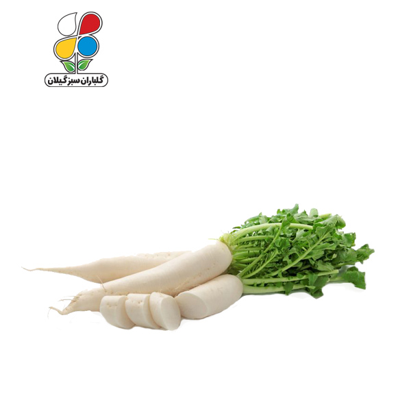 بذر ترب سفید بزرگ مدل GPSS7L