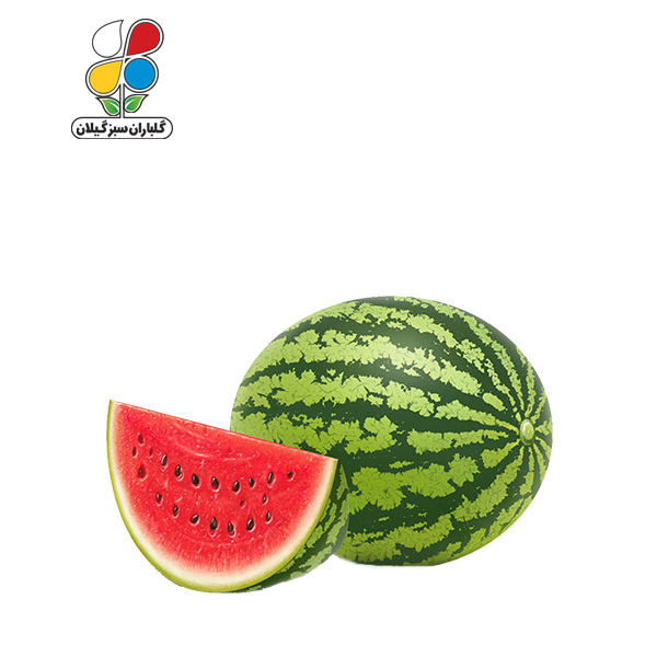 بذر هندوانه بزرگ مدل GPSS7L