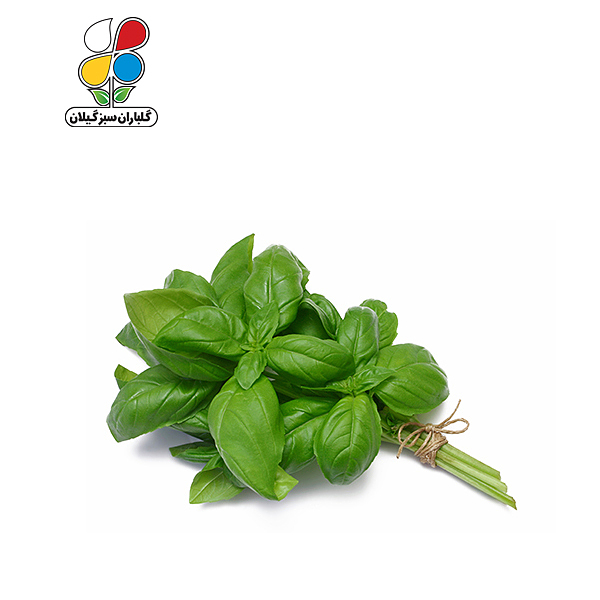 بذر ریحان سبز بسته 3 عددی مدل GPSV7L