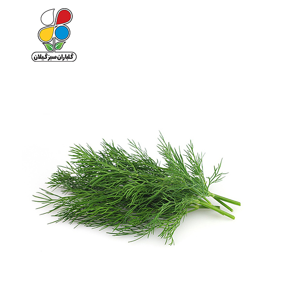 بذر شوید بسته 3 عددی مدل GPSV7L
