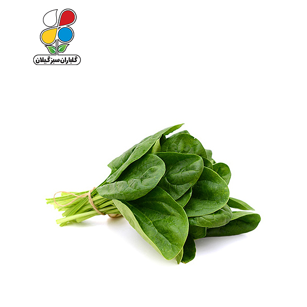 بذر اسفناج بسته 3 عددی مدل GPSV7L