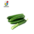 بذر خیار بسته 3 عددی مدل GPSS7L